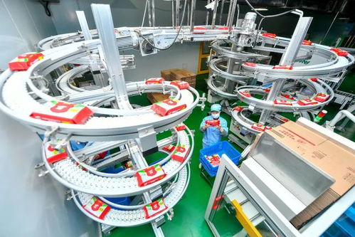 聚焦中小企业纾困帮扶 优化财税法治环境助力消毒器械销售企业